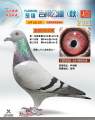 图片暂时未上传