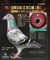 图片暂时未上传