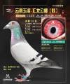 图片暂时未上传