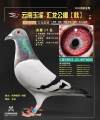 图片暂时未上传