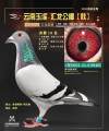 图片暂时未上传