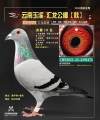 图片暂时未上传