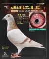图片暂时未上传