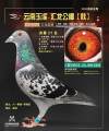 图片暂时未上传