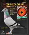 图片暂时未上传