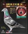 图片暂时未上传