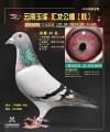 图片暂时未上传