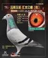 图片暂时未上传