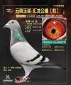 图片暂时未上传