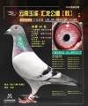 图片暂时未上传