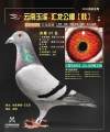 图片暂时未上传