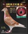 图片暂时未上传