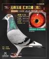 图片暂时未上传