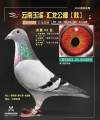 图片暂时未上传