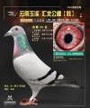 图片暂时未上传