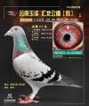 图片暂时未上传