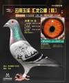 图片暂时未上传