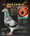 图片暂时未上传