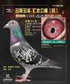 图片暂时未上传