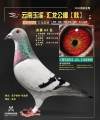 图片暂时未上传