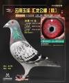 图片暂时未上传