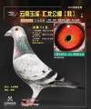 图片暂时未上传