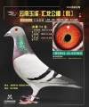 图片暂时未上传