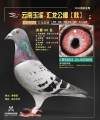 图片暂时未上传