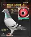 图片暂时未上传