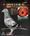 图片暂时未上传