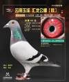 图片暂时未上传