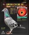 图片暂时未上传