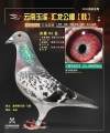 图片暂时未上传