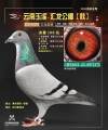 图片暂时未上传