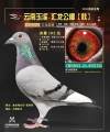 图片暂时未上传