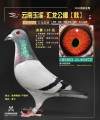 图片暂时未上传