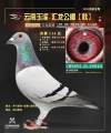 图片暂时未上传