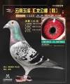 图片暂时未上传