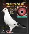 图片暂时未上传