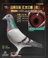 图片暂时未上传