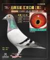 图片暂时未上传