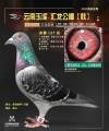 图片暂时未上传