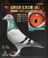 图片暂时未上传