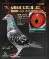 图片暂时未上传