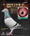 图片暂时未上传