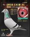 图片暂时未上传