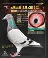 图片暂时未上传