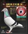 图片暂时未上传
