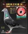 图片暂时未上传