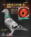 图片暂时未上传